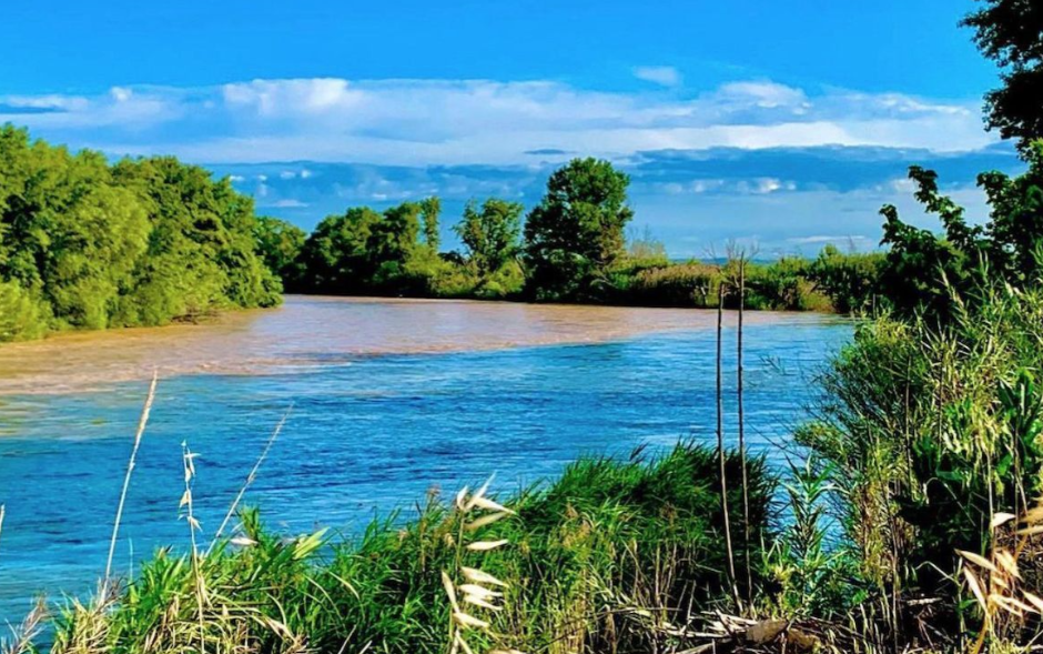 Ecoturismo y desconexión: ¿Cuál es la mejor casa rural de Lleida para conectar con la naturaleza? Ecoturismo y desconexión: ¿Cuál es la mejor casa rural de Lleida para conectar con la naturaleza?